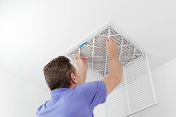 Best Affordable Duct Cleaning Services  in Kenedy, TX